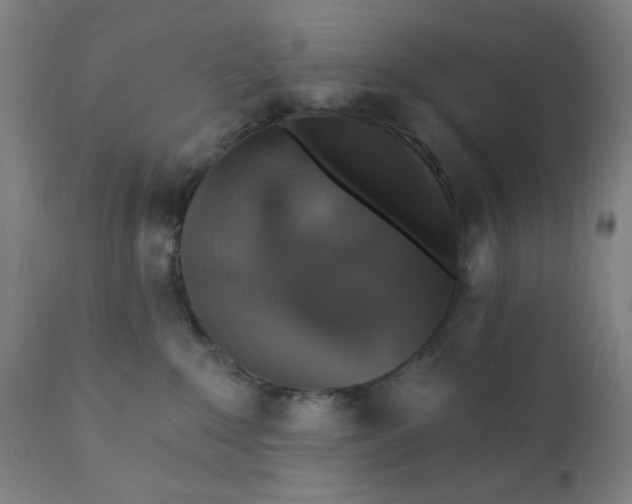 X0000112420235200909041420