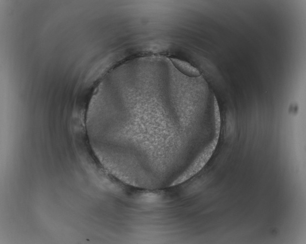 X0000112420236200909041420