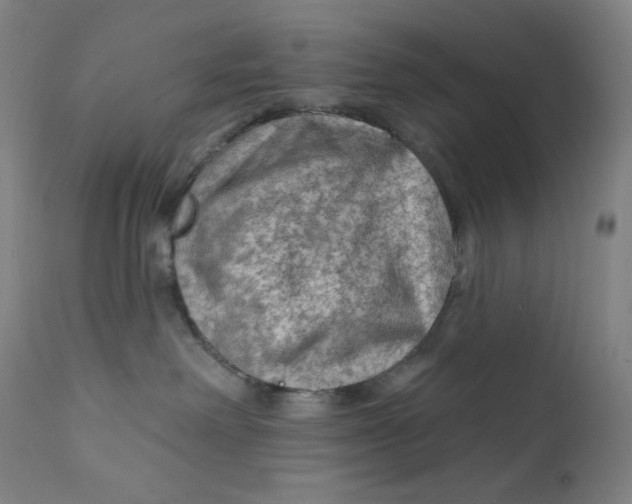 X0000112420238200909041420