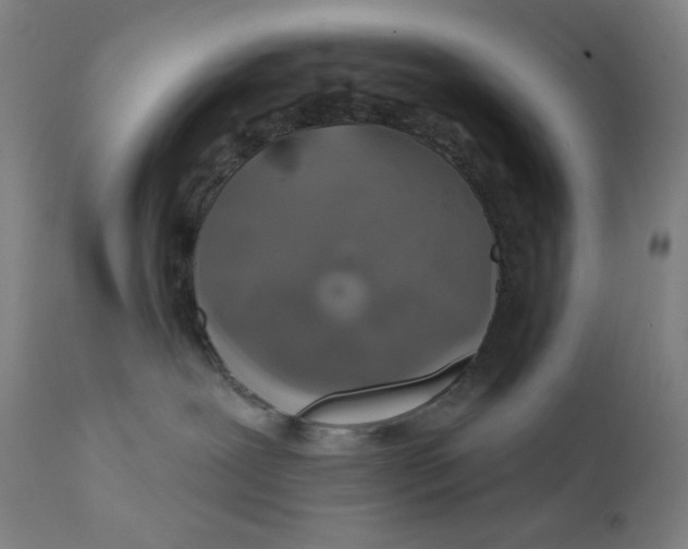 X0000112420239200909041420