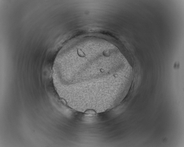 X0000112420240200909041420