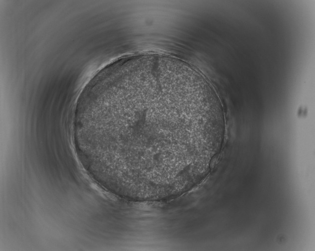 X0000112420241200909041419