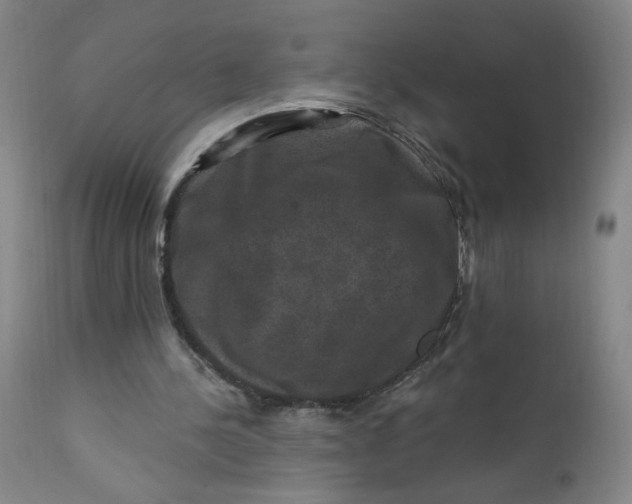 X0000112420244200909041419