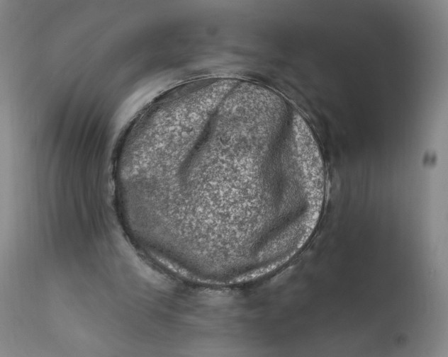 X0000112420245200909041419