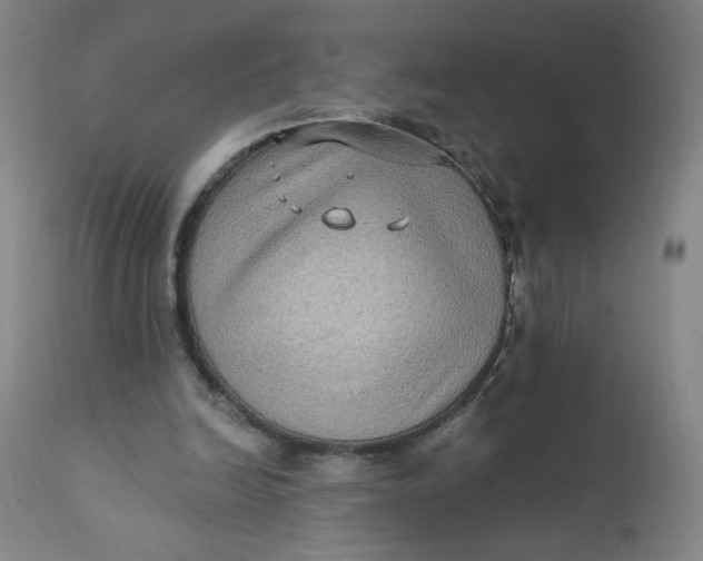 X0000112420246200909041419