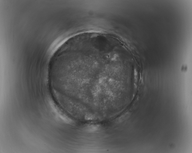 X0000112420247200909041419