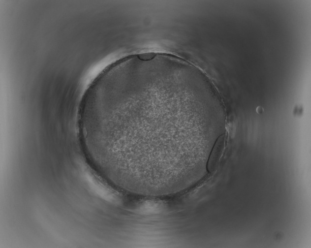 X0000112420248200909041419