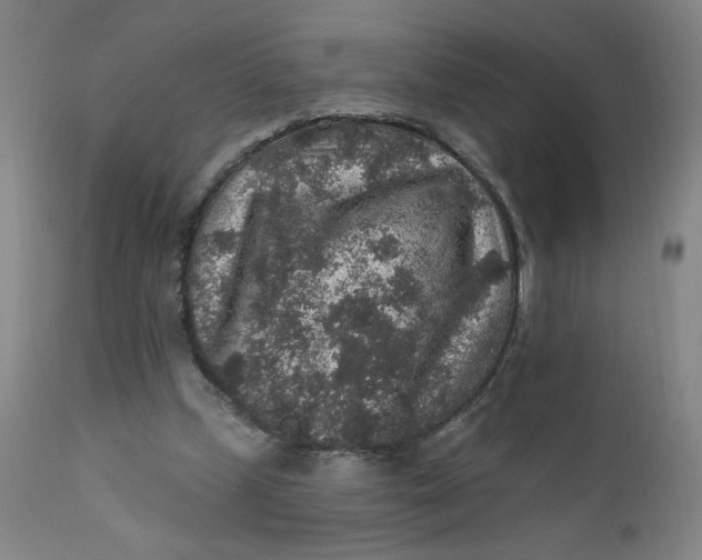 X0000112420249200909041419