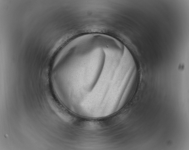 X0000112420250200909041419