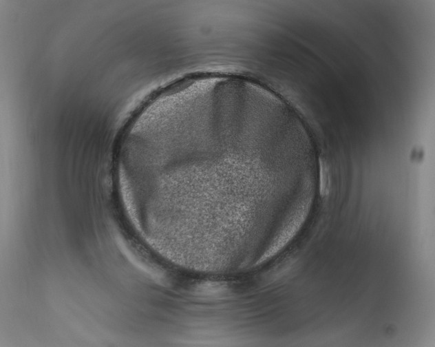 X0000112420252200909041419