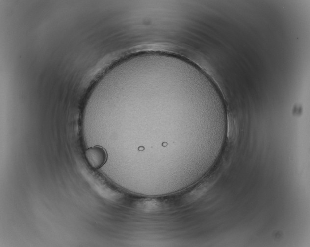 X0000112420253200909041419