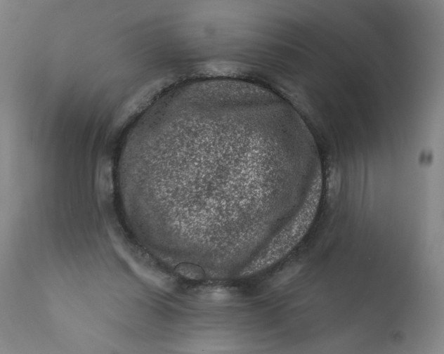 X0000112420254200909041419