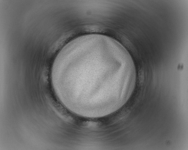 X0000112420255200909041419