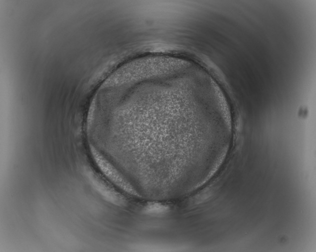 X0000112420257200909041419