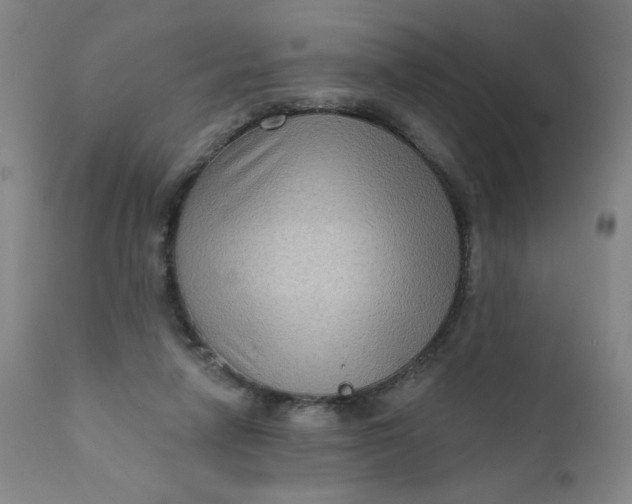 X0000112420258200909041419