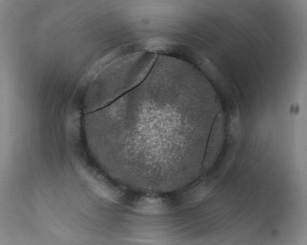 X0000112420260200909041419