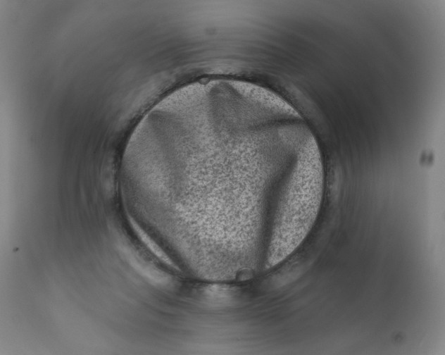 X0000112420261200909041419