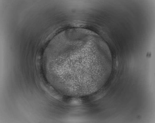 X0000112420263200909041419