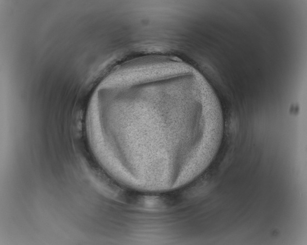 X0000112420264200909041419