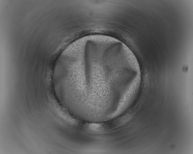 X0000112420265200909041419