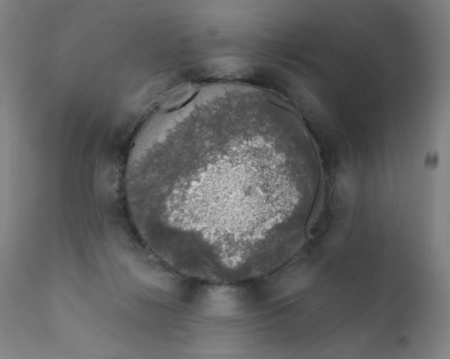 X0000112420268200909041419