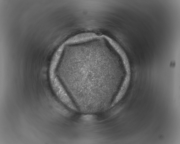 X0000112420269200909041419