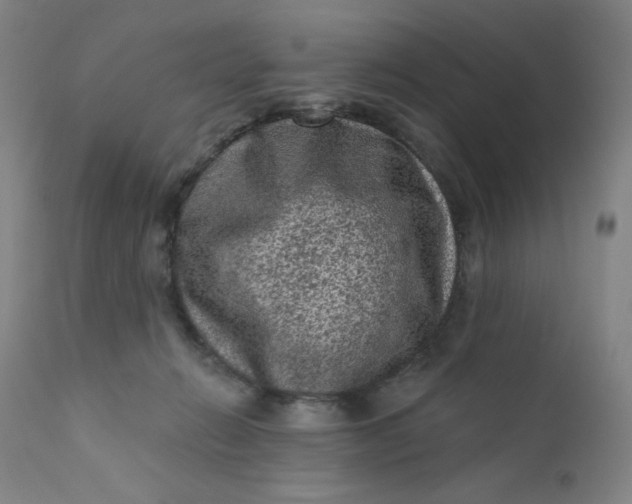 X0000112420270200909041419