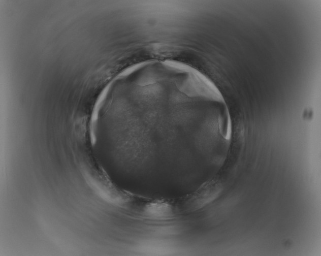 X0000112420271200909041420