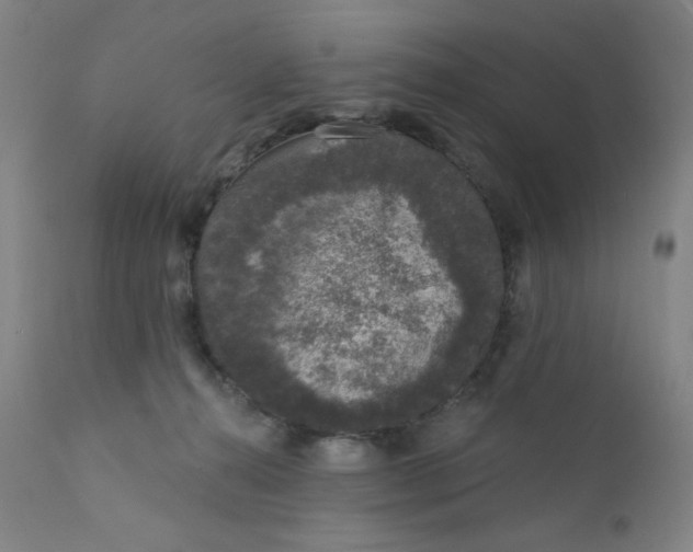 X0000112420272200909041420