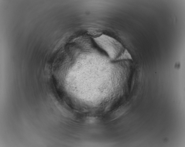 X0000112420273200909041420