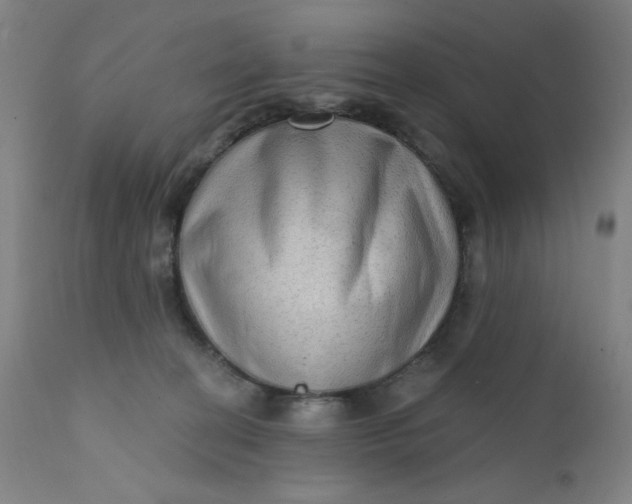 X0000112420274200909041420