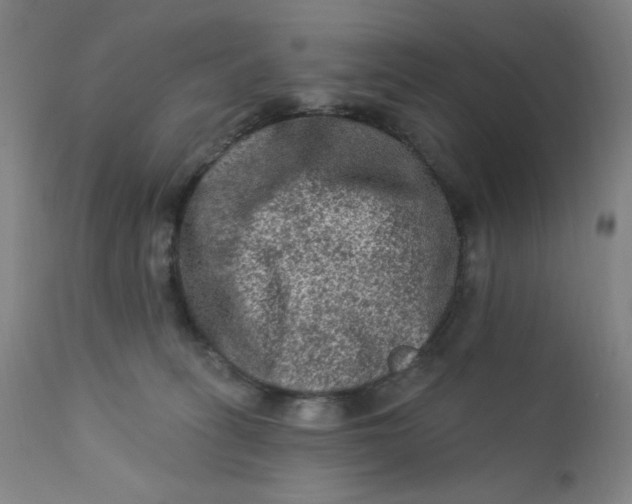 X0000112420275200909041420