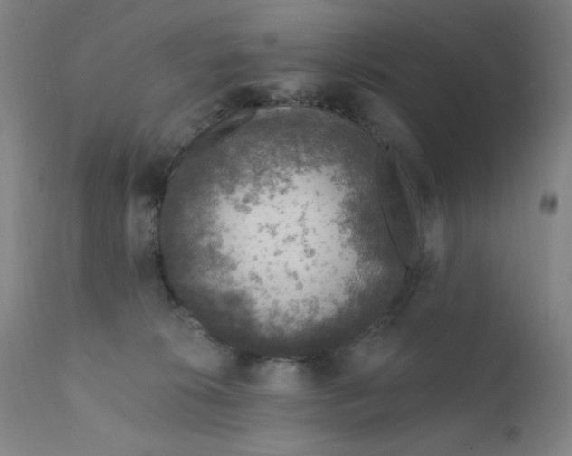 X0000112420276200909041420