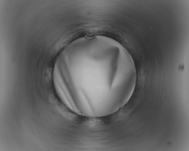 X0000112420278200909041420