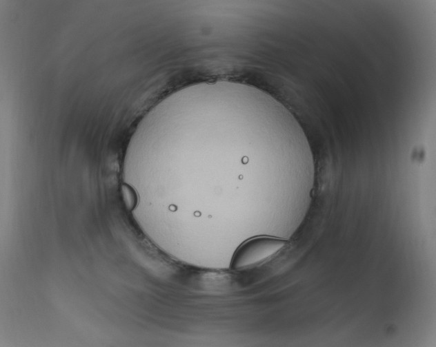 X0000112420279200909041420