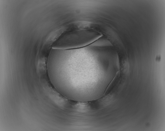 X0000112420280200909041420