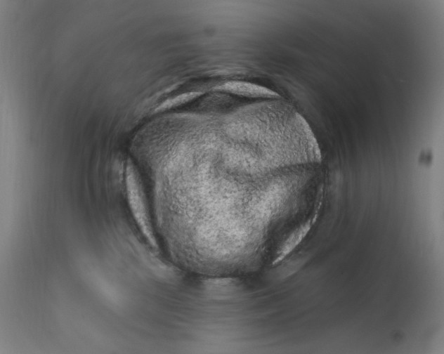 X0000112420281200909041420