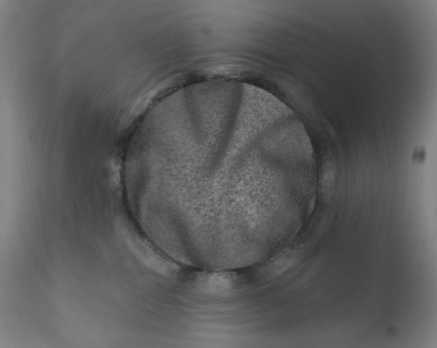 X0000112420282200909041420