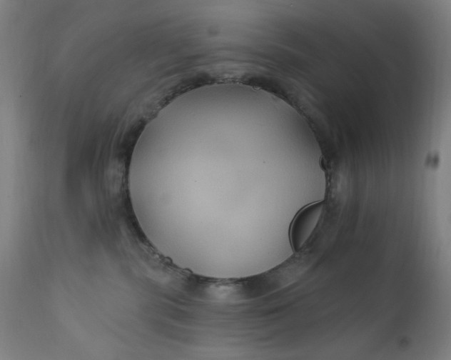 X0000112420283200909041420