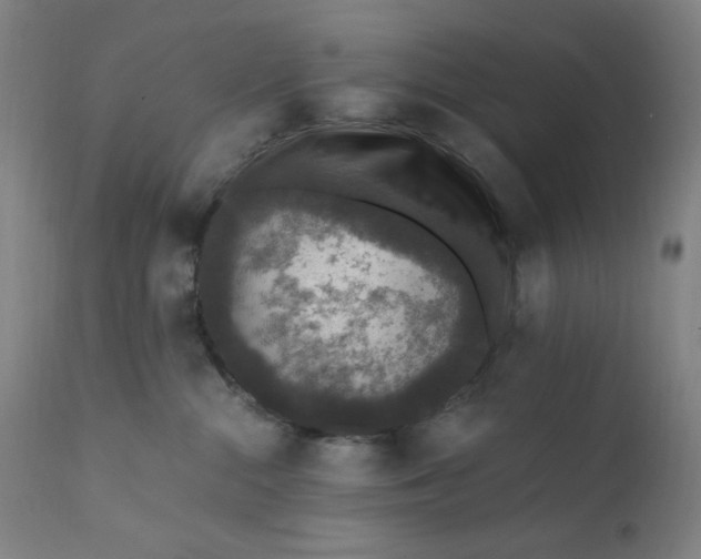 X0000112420284200909041420