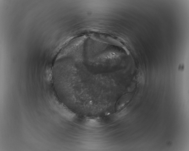 X0000112420285200909041420