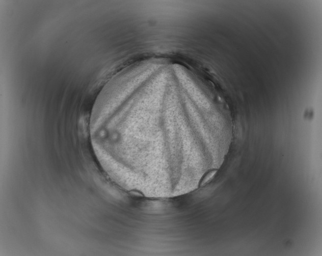 X0000112420286200909041420