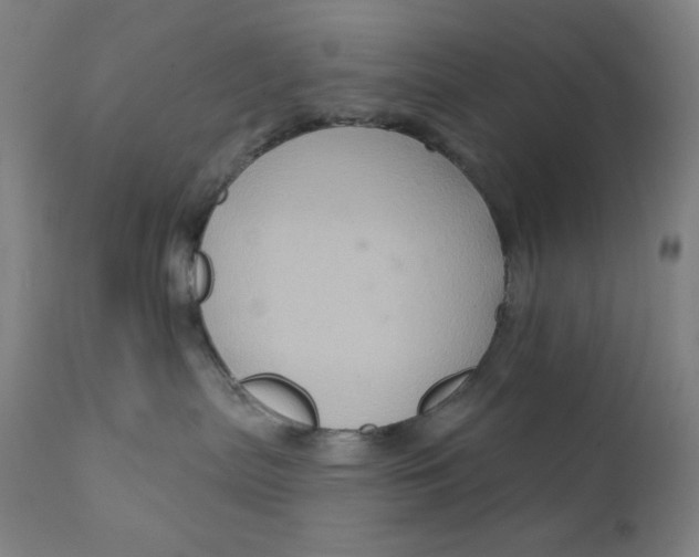 X0000112420287200909041420