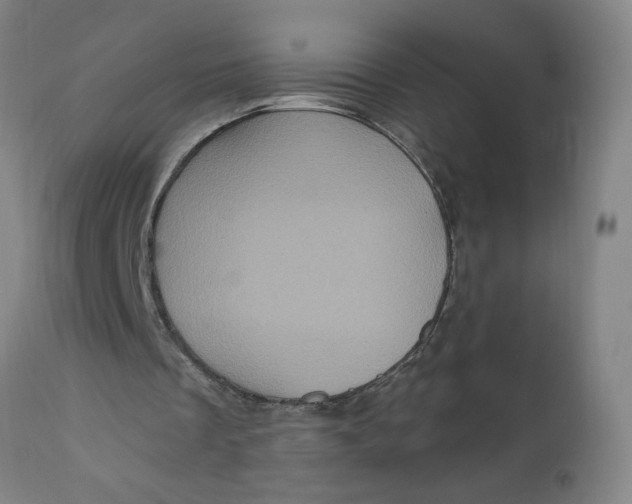 X0000112420289200909041419