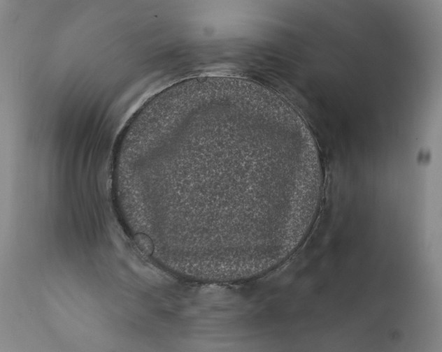 X0000112420290200909041419