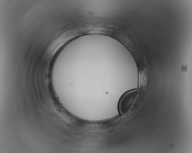 X0000112420291200909041419