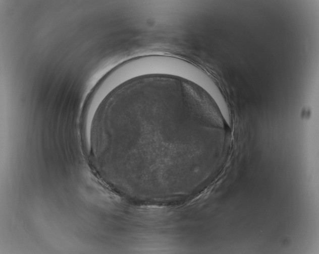 X0000112420292200909041419