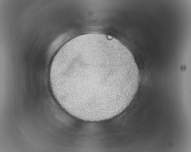 X0000112420293200909041419