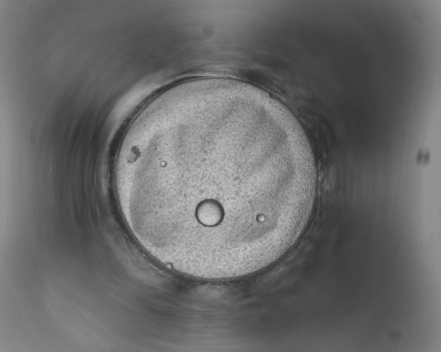 X0000112420294200909041419