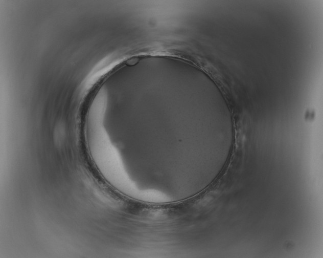 X0000112420295200909041419